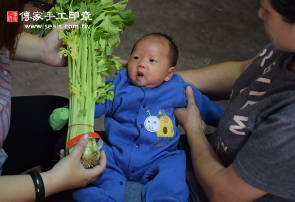 陳寶寶(台中龍井區到府嬰兒寶寶滿月剃頭理髮、免費到府嬰兒剃胎毛儀式吉祥話)。到府剃頭剃胎毛主持、專業拍照、DVD光碟、證書。★購買「臍帶章、肚臍章、胎毛筆刷印章」贈送：剃頭、收涎、抓周，三選一。2015.11.01 照片9